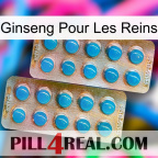 Ginseng For Kidney new08
